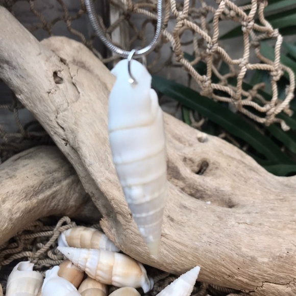 ICICLE SHELLS Cerithium Shells preDrilled HOLES Crafting Jewelry Making DIY Lot - Picture 4 of 13